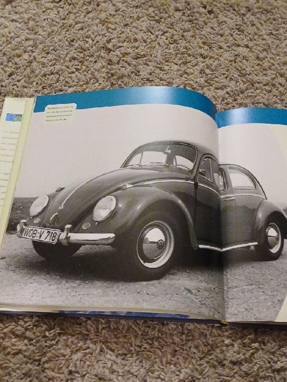 Beetlemania Book - Picture 3 of 5